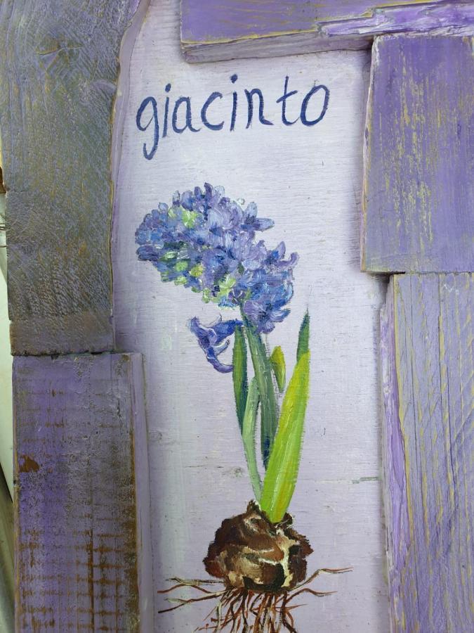 B & B La Primavera Pergola Extérieur photo