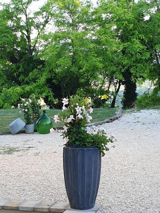 B & B La Primavera Pergola Extérieur photo