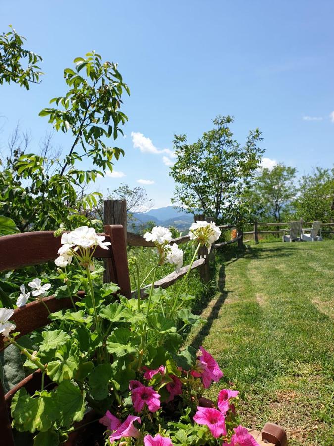 B & B La Primavera Pergola Extérieur photo